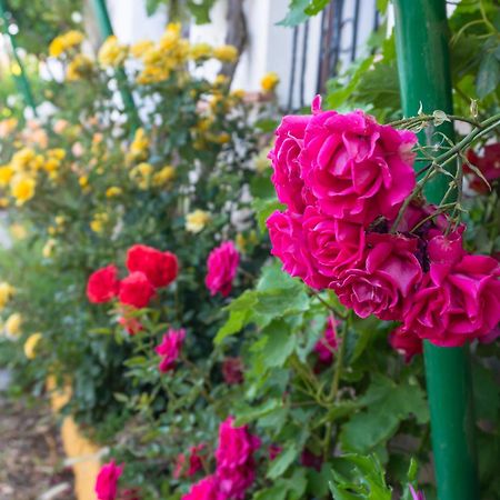Casa Rural Huerta La Lapa Canete la Real ภายนอก รูปภาพ