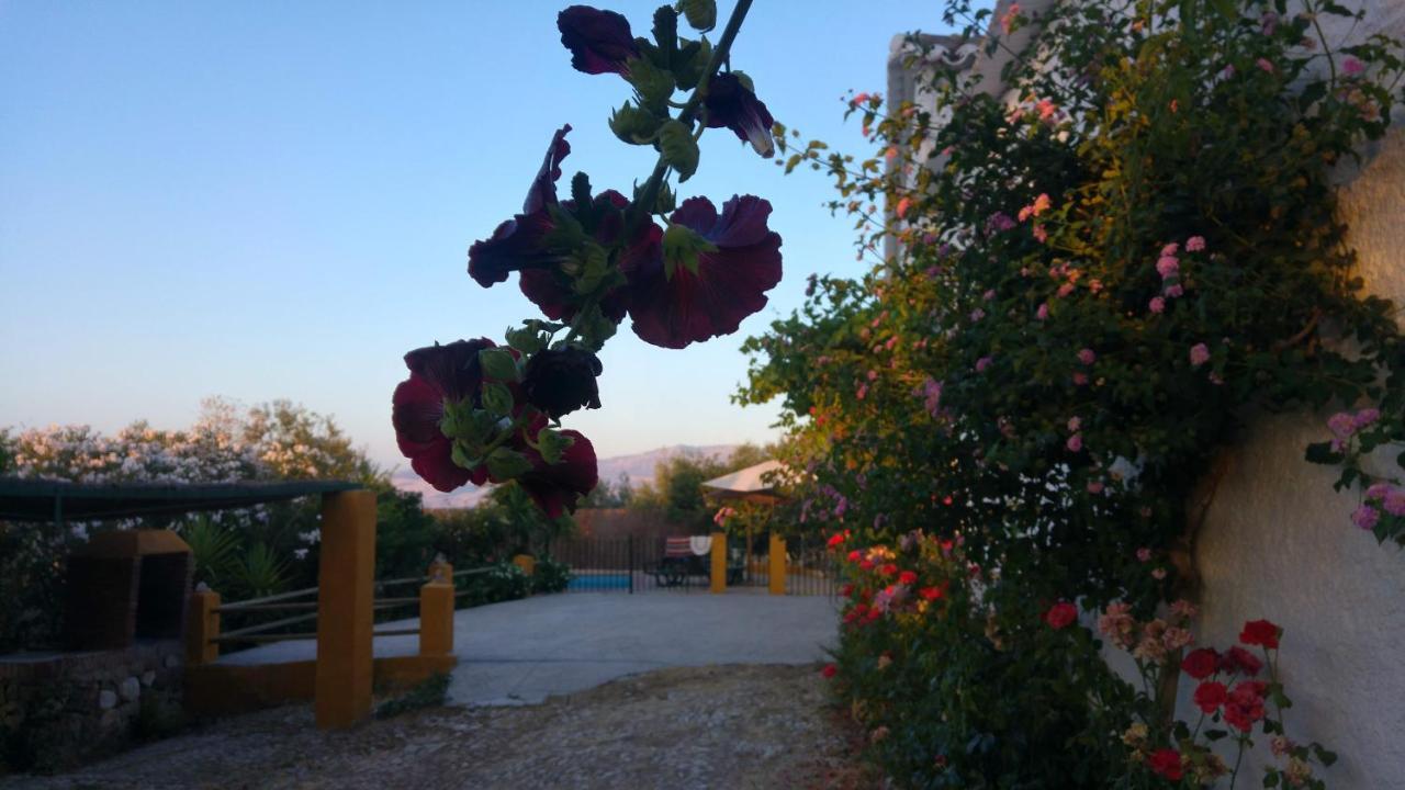 Casa Rural Huerta La Lapa Canete la Real ภายนอก รูปภาพ