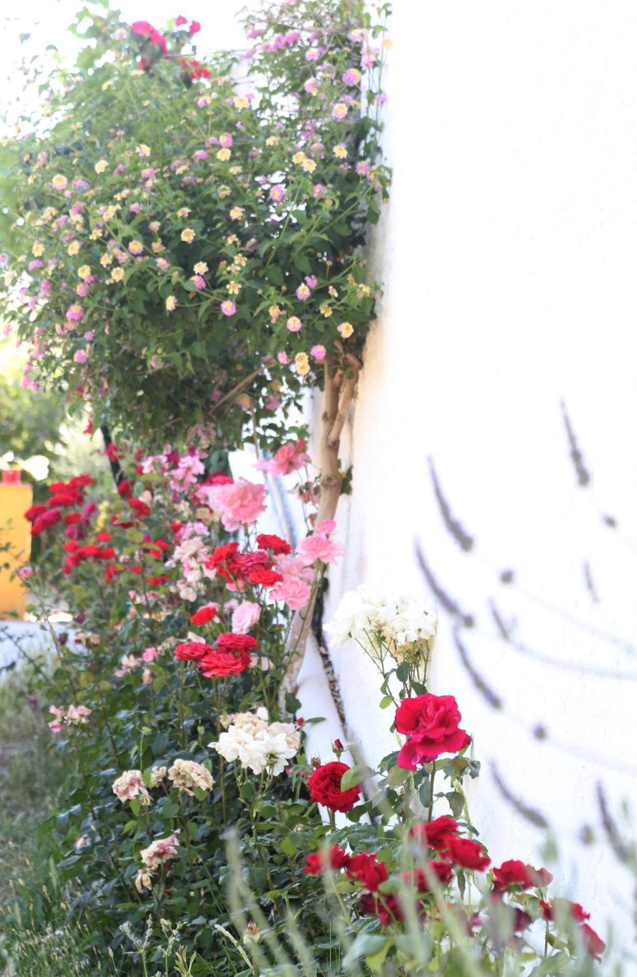 Casa Rural Huerta La Lapa Canete la Real ภายนอก รูปภาพ