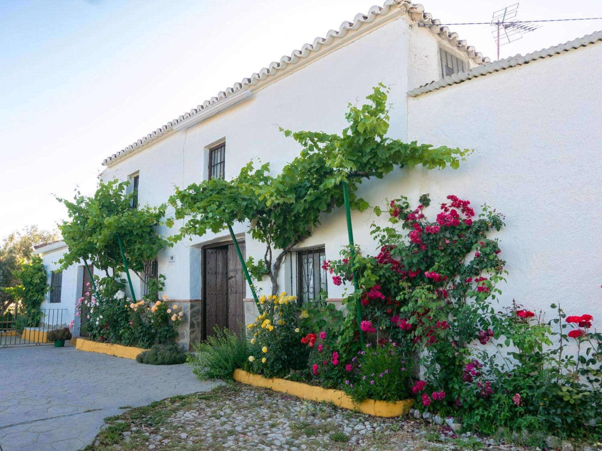 Casa Rural Huerta La Lapa Canete la Real ภายนอก รูปภาพ